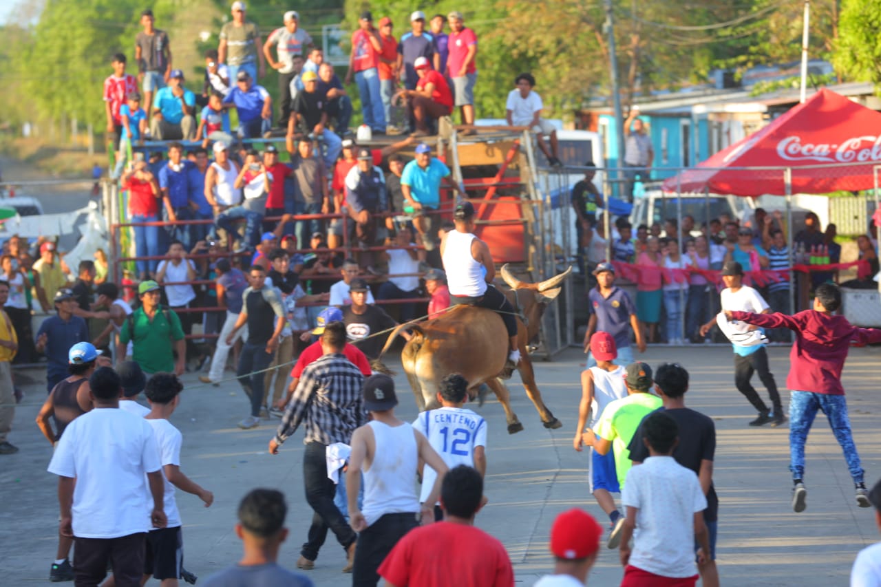 VACAS1